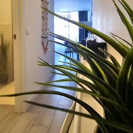 524 Ocean Dreams Americas Διαμέρισμα