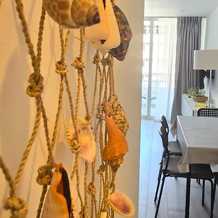 524 Ocean Dreams Americas 美洲海滩