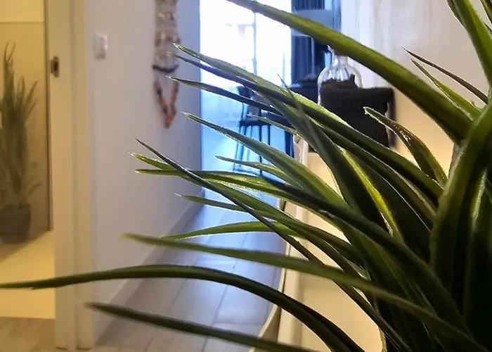 524 Ocean Dreams Americas Apartament