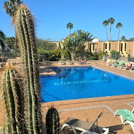 524 Ocean Dreams Americas